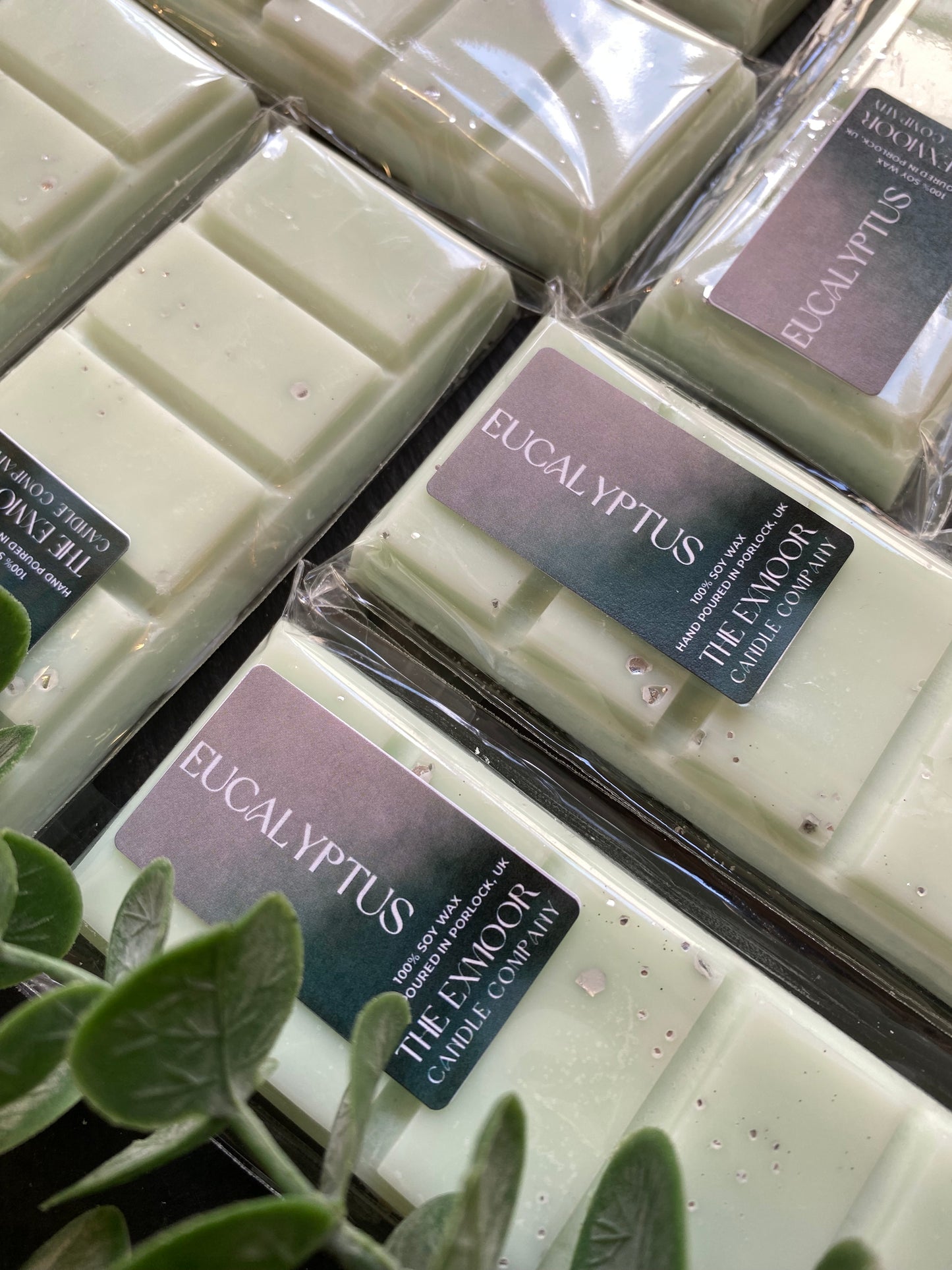 Eucalyptus Snap Bar